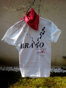 majicabravo1